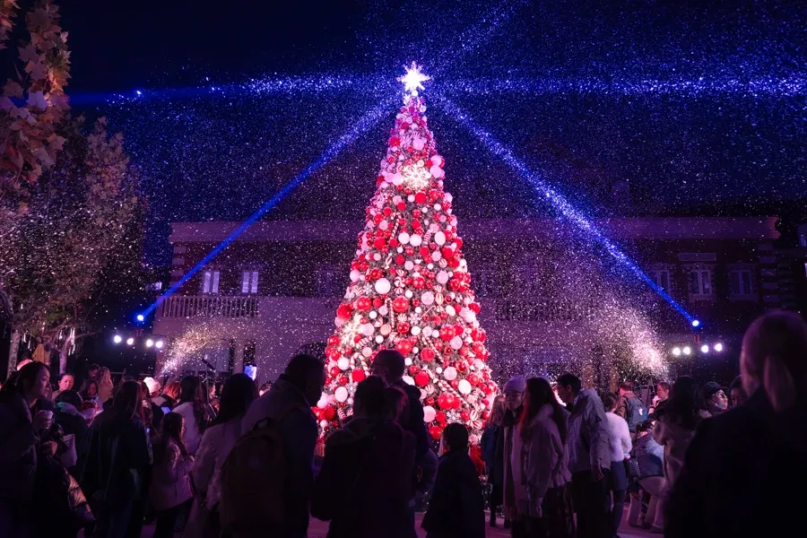 Tree Lighting Ceremony 2025